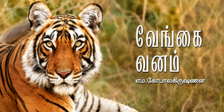 The Forest Outlives the King  – Vengaivanam